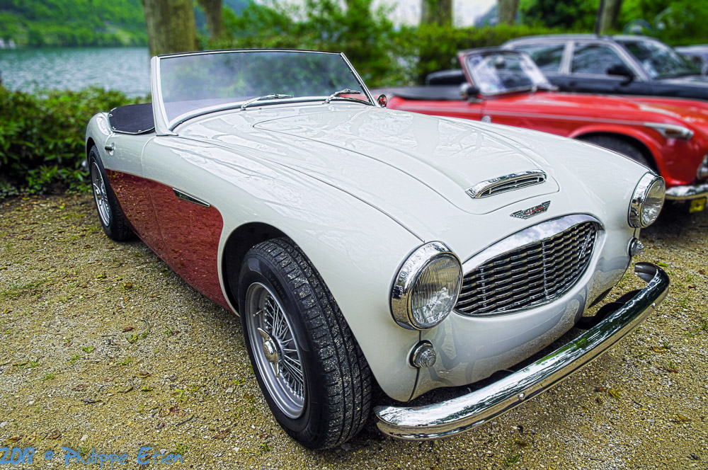 Austin Healey 3000 MKI 019