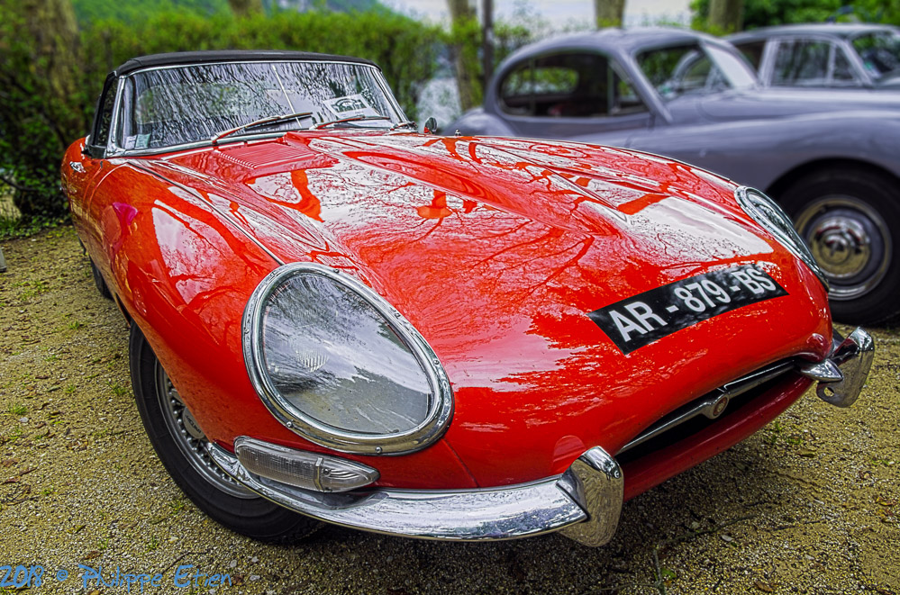 Jaguar Type E 036