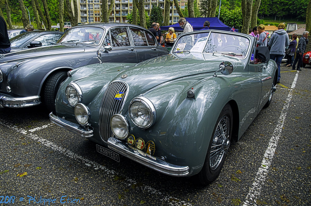 Jaguar XK 120 018