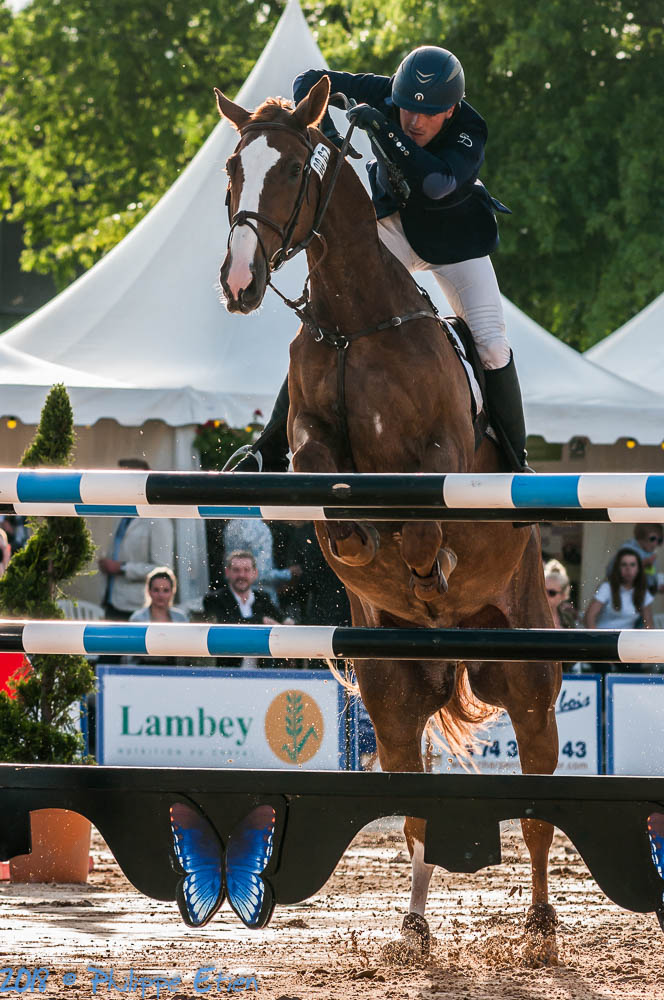 CSI Bourg En Bresse 2015 178