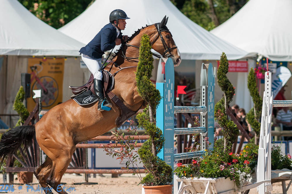 CSI 2016 BourgEnBresse 116