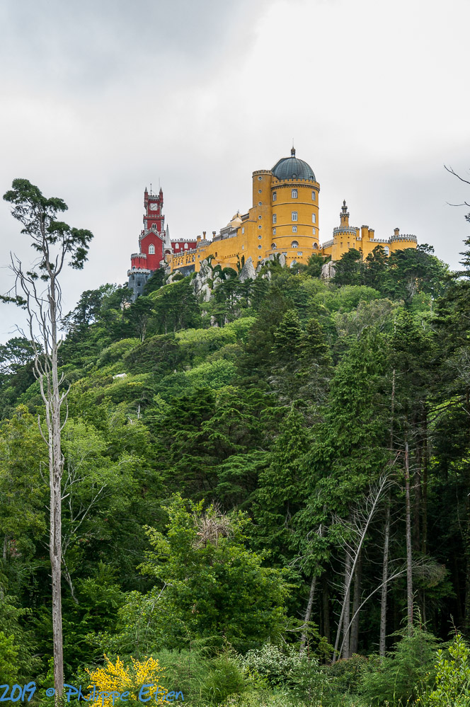 Sintra Pena 039