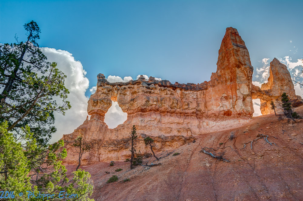 Bryce Canyon Tower Bridge 004