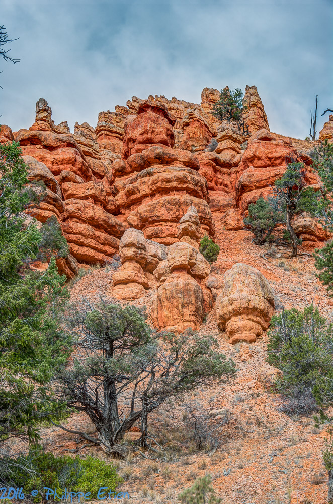 Red Canyon 046_7