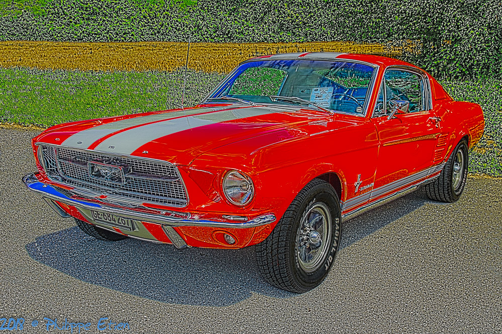 Ford Mustang 289 009